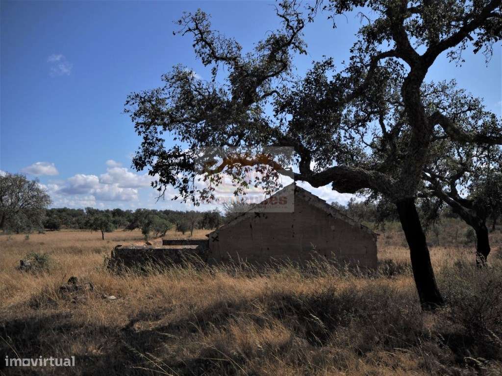 Propriedade com 31 hectares na serra de Grândola - Grande imagem: 4/8