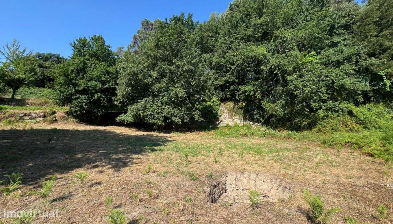 Venda Terreno, Boelhe, Penafiel-10