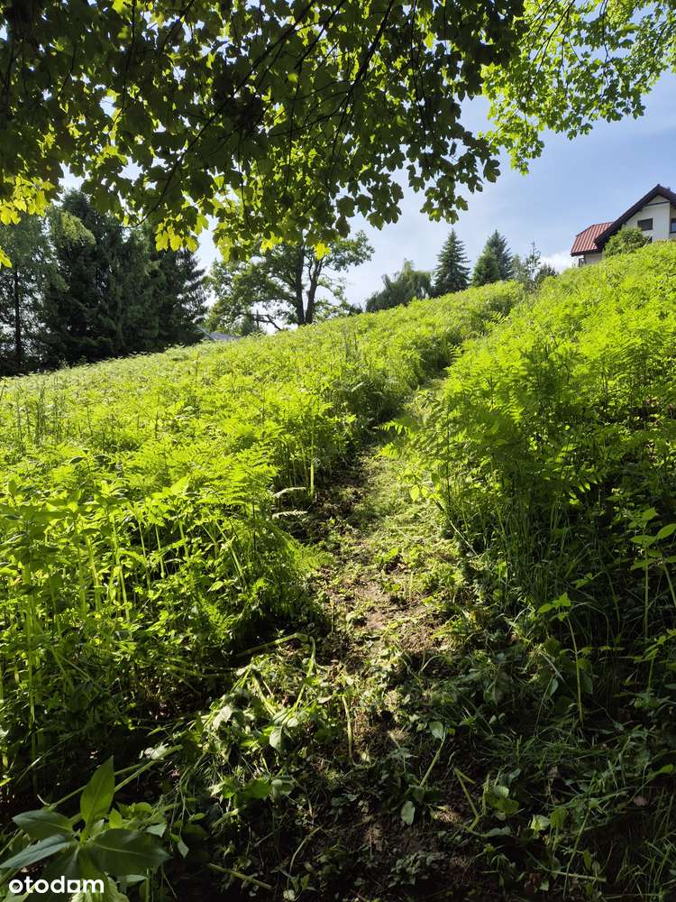 Działka budowlana, słońce, stok i aktywne pozwolenie na budowę - Pełny obrazek: 2/14