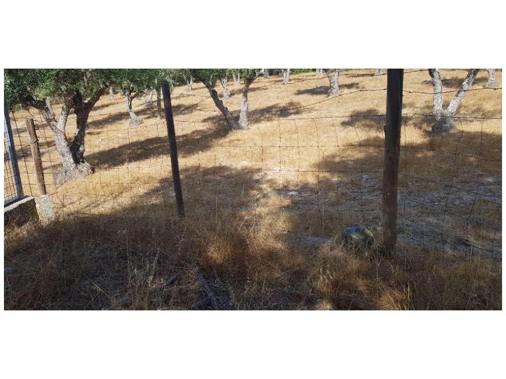 MORADIA - V2 (P/ reconstruir)-8