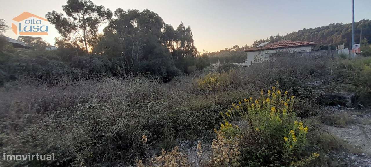 4 Lotes de Terrenos  Baguim do Monte- Excelente  Localização - Grande imagem: 5/5