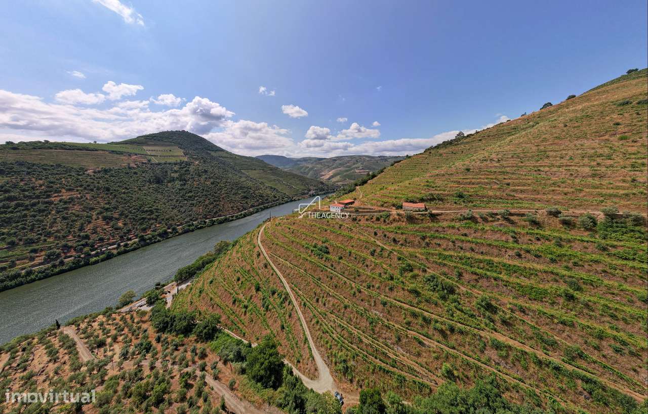 QUINTA VINÍCOLA EXCLUSIVA NO DOURO COM CASA DE LUXO - Grande imagem: 5/27