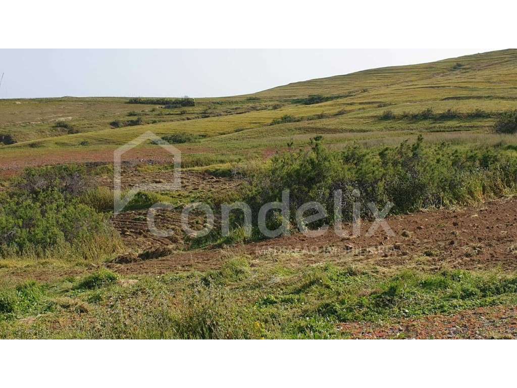 Terreno em Porto Santo - Grande imagem: 3/10