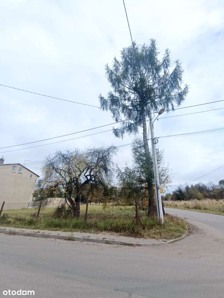 Działka, 3 060 m², Sosnowiec-1