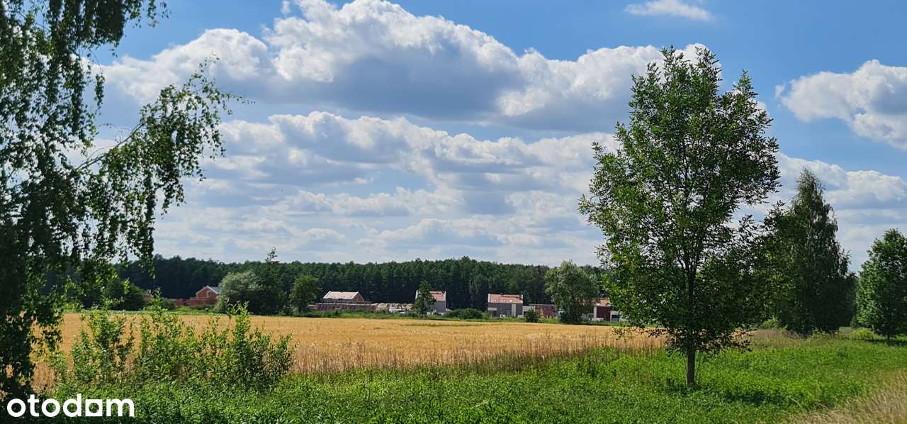 Działka budowlana Miłoszyce-0