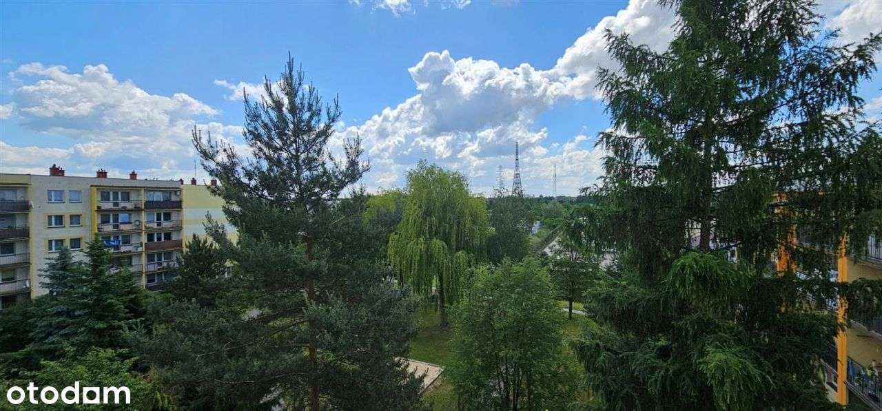 Mieszkanie, 63,50 m², Gliwice-9