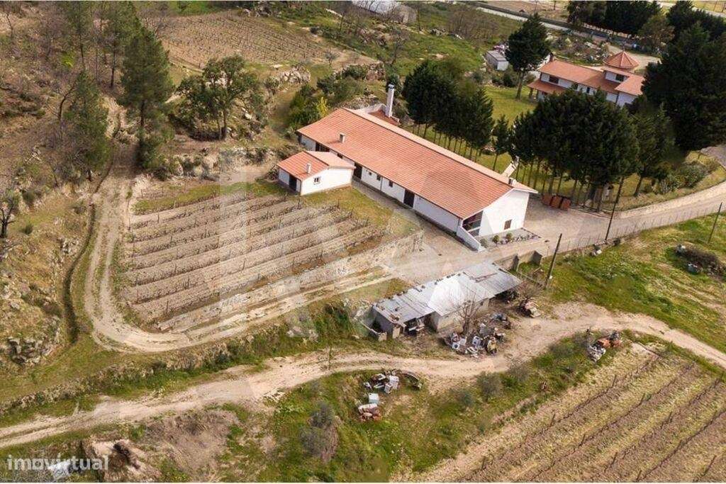 Fantástica Quinta com casa encantadora em Belmonte-6