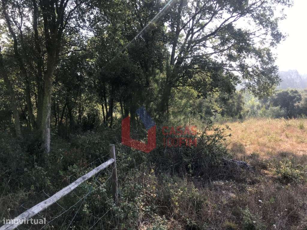 Terreno com 1800m2 para construção de moradia, em S. Jorge, Calvari... - Grande imagem: 4/6