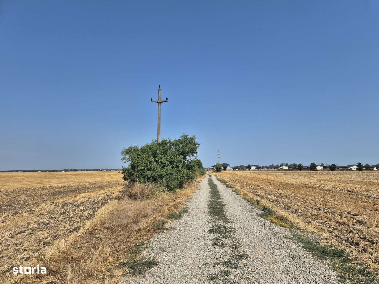 Teren intravilan 4428 mp - Balotesti - Imagine principală: 3/5