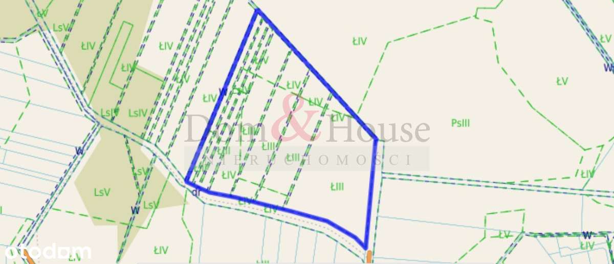 Bushcraft Survival Teren Leśny 20 min Morze - Pełny obrazek: 4/7