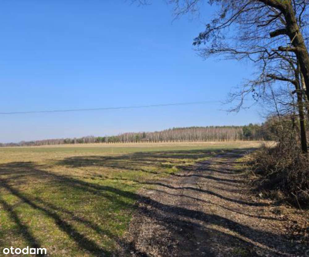 Udział w nieruchomości gruntowej - Podwody Kolonia, gm. Bełchatów - Pełny obrazek: 2/3