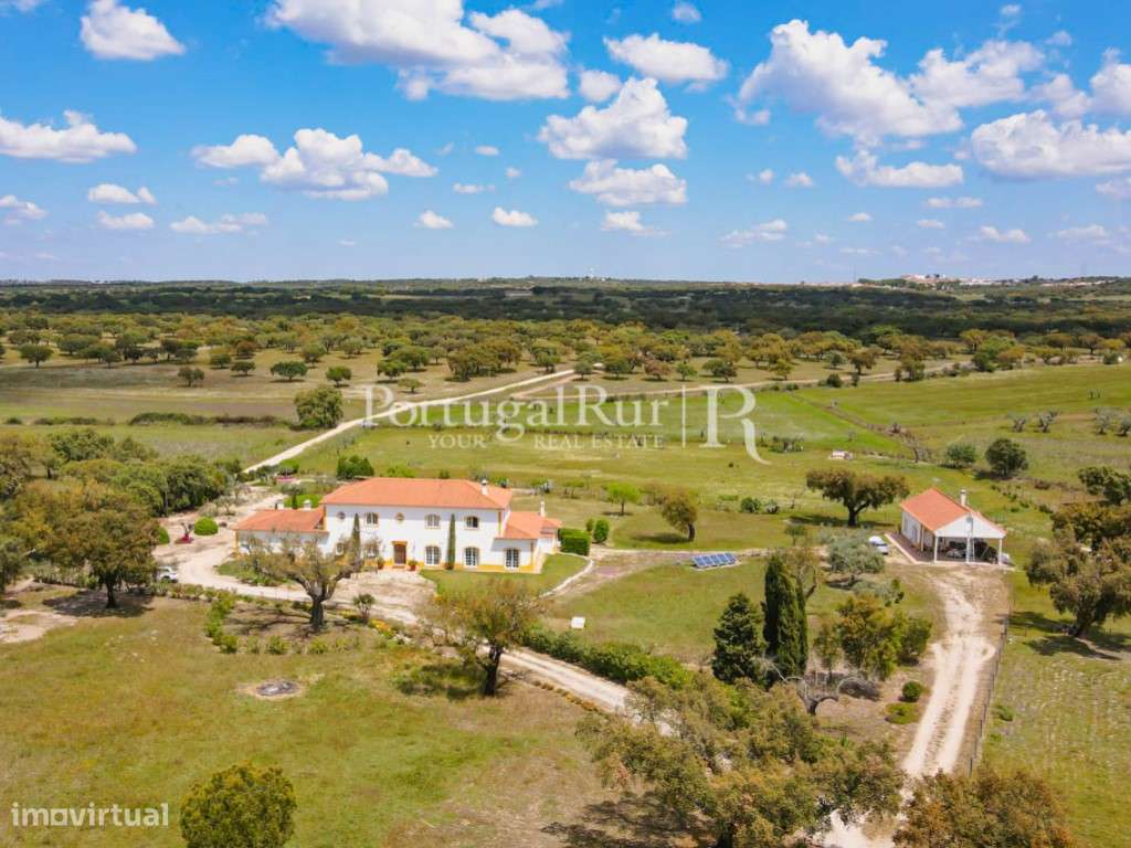 Excelente quinta de 3,95ha com 2 casas - Grande imagem: 4/60