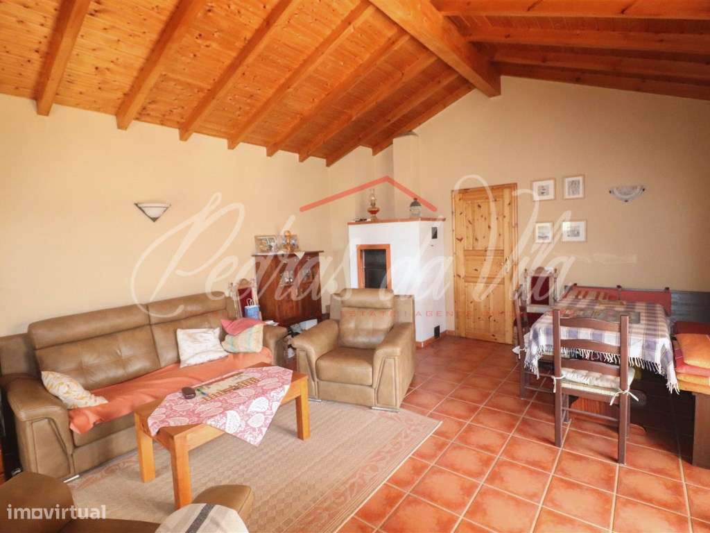 Quinta com 6,5ha em Vale Juncal - São Teotónio-21