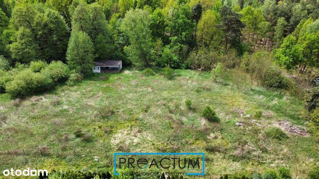 Działka w malowniczym miejscu blisko lasu. - Pełny obrazek: 4/8