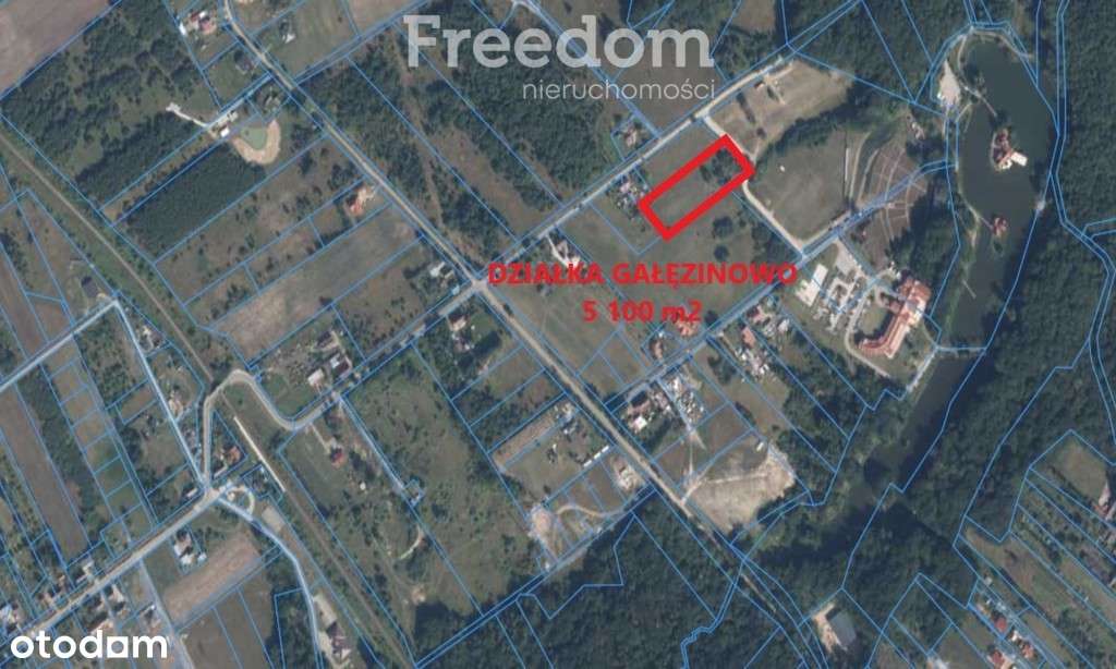 Działki, inwestycja w Gałęzinowie, blisko Morza - Pełny obrazek: 4/6