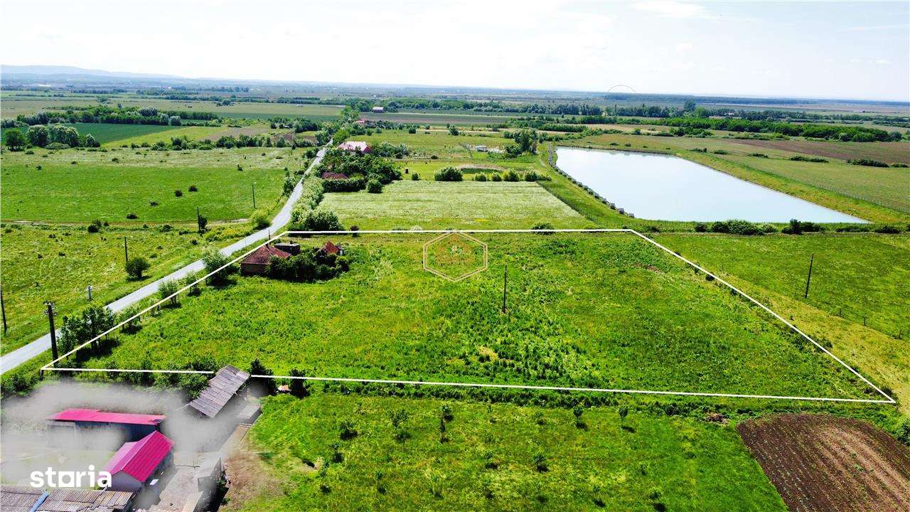 Teren generos, versatil - 10.850 mp | Balta Blonda | Diverse proiecte - Imagine principală: 5/9