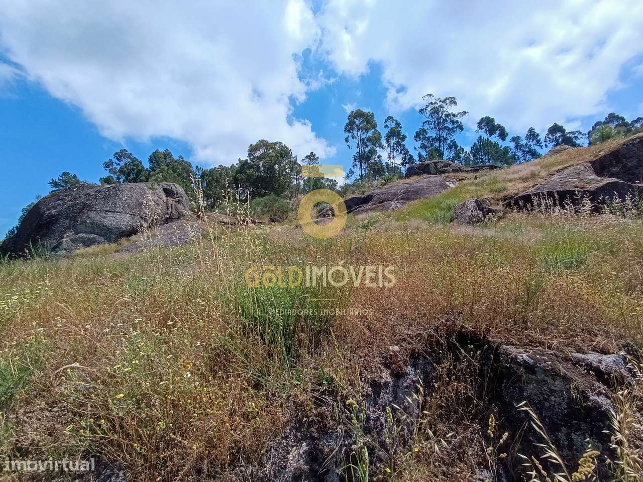 Terreno Rústico  Venda em Vila Boa de Quires e Maureles,Marco de Canav - Grande imagem: 5/7