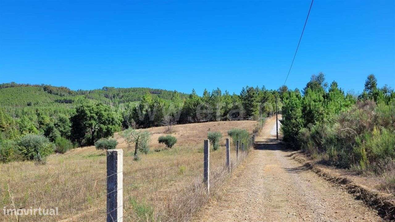 Quinta / Fundão, Enxames - Grande imagem: 5/12