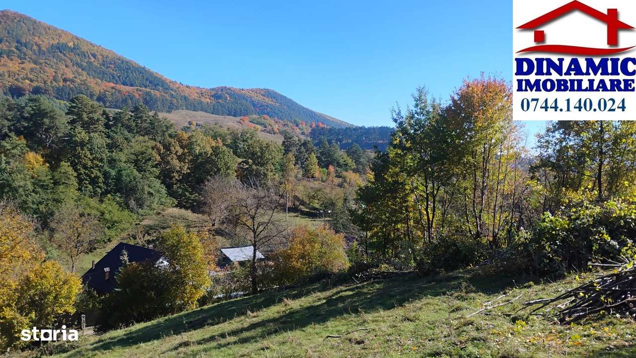 3600 mp teren intravilan, sat Bistrita, 16 Euro/mp-1