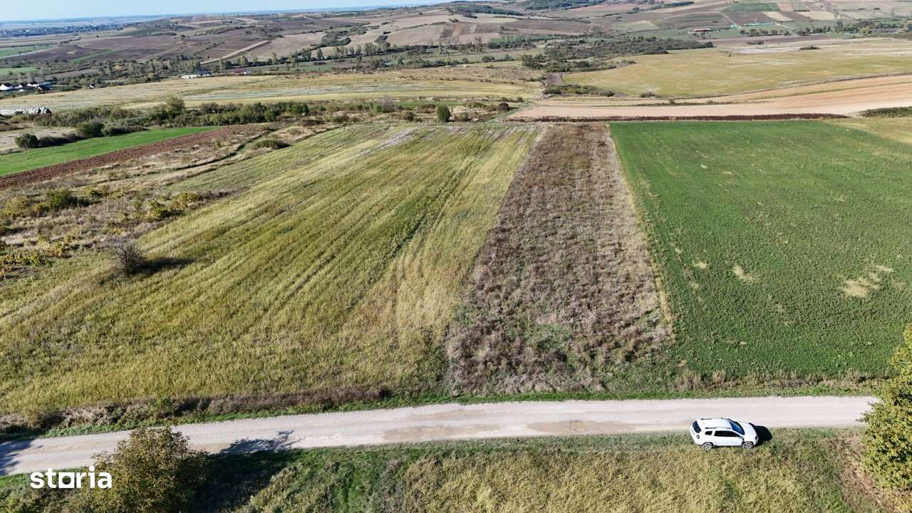 Teren intravilant în paleu de vânzare - Imagine principală: 5/5