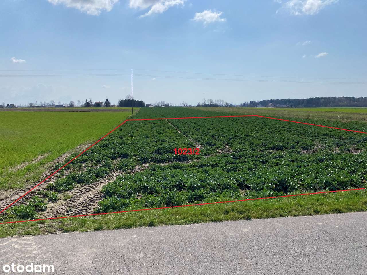 Działka budowlana Borki Radzyń Podlaski Warunki zabudowy bezpośrednio - Pełny obrazek: 5/7