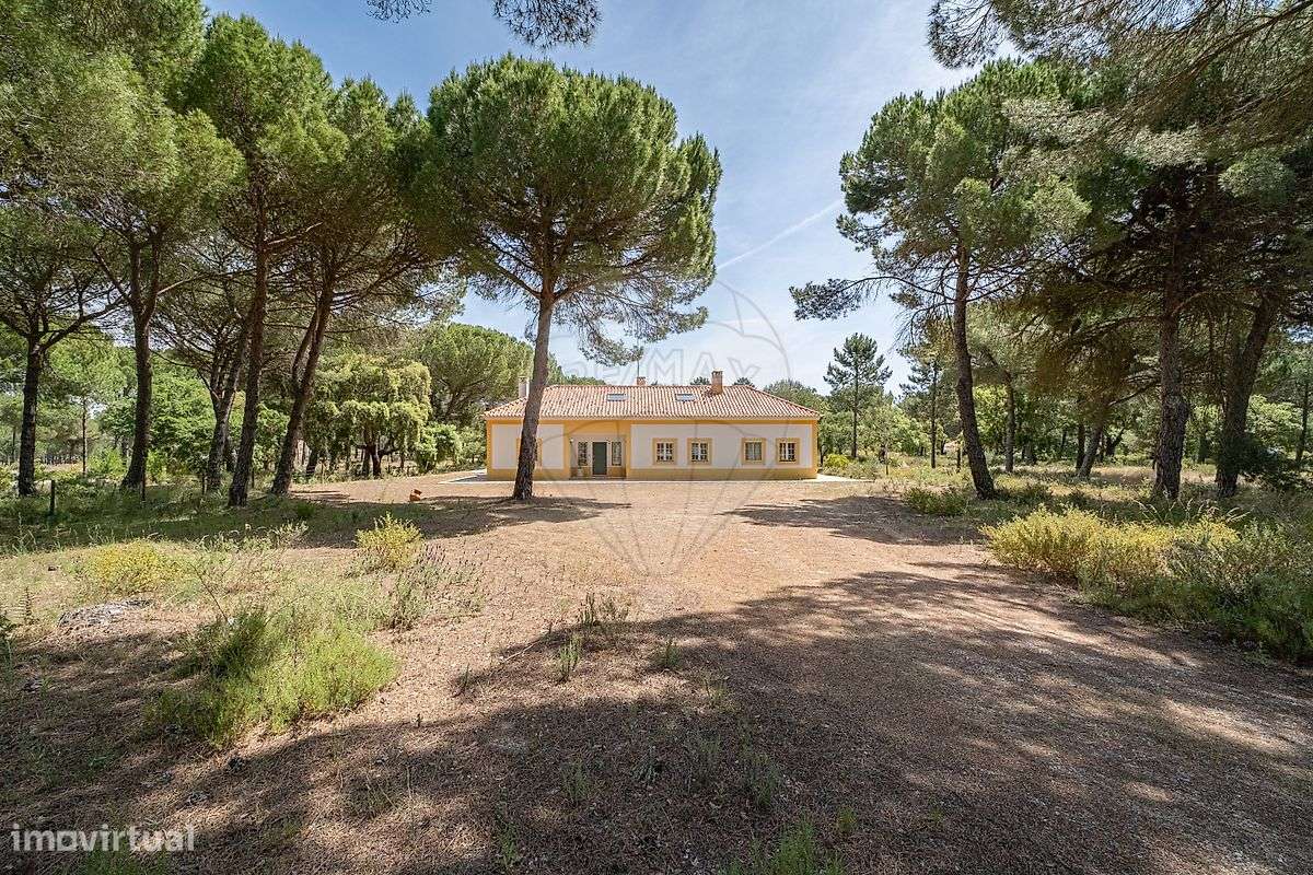 Quinta T5 para venda - Grande imagem: 5/50