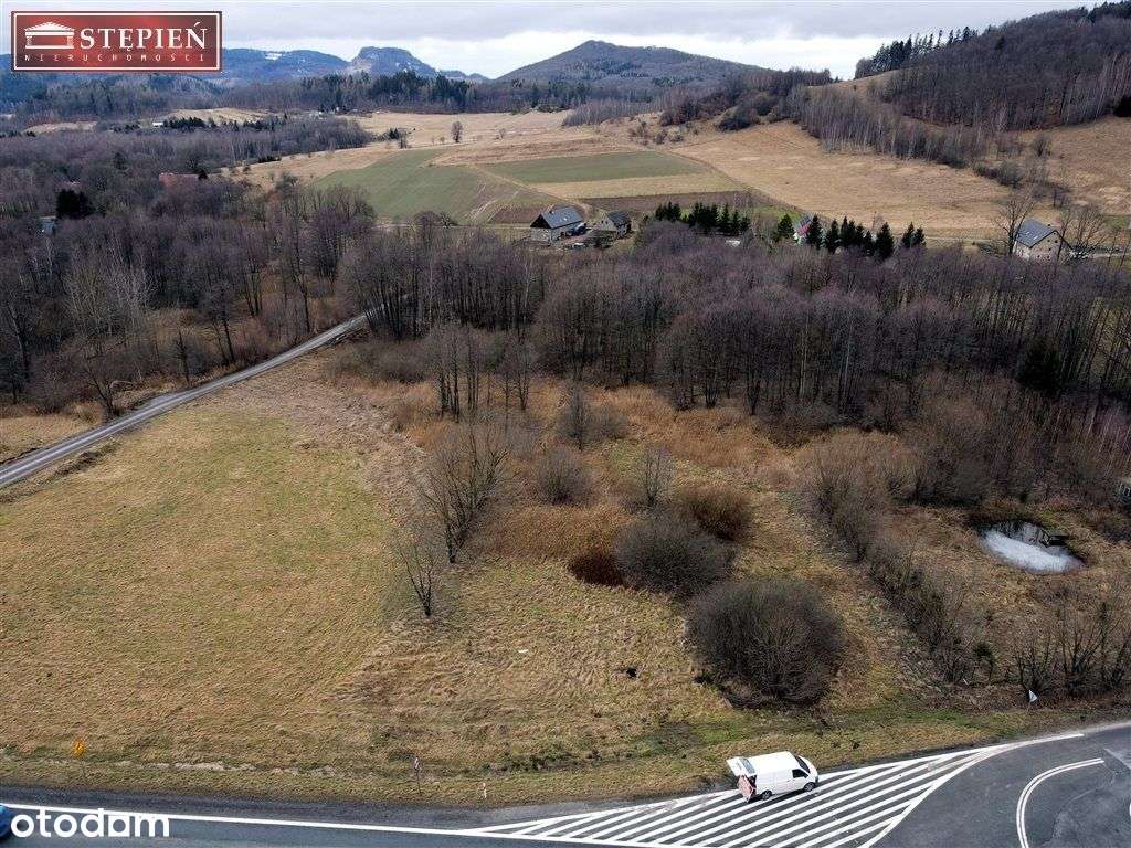 Działka, 7 552 m², Bolków - Pełny obrazek: 5/16