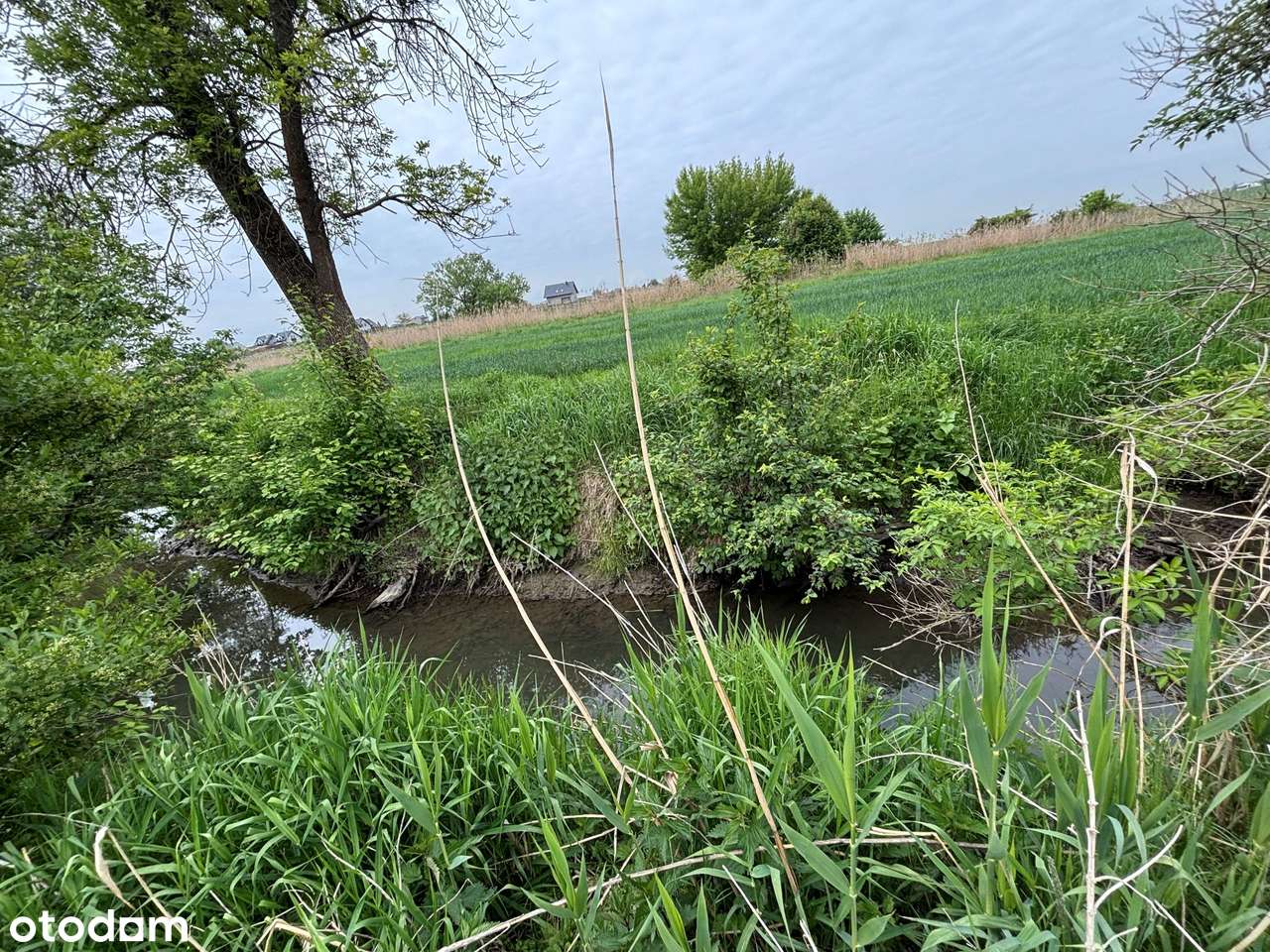 Kraków – Nowa Huta – Kościelniki – działki rekreacyjne od 8-60 ar-6