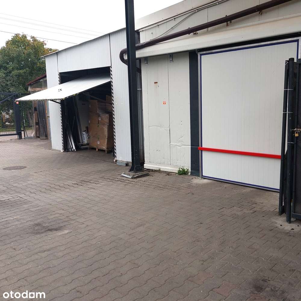 Hala sprzedaż Warszawa Targówek magazyn, chłodnia-7