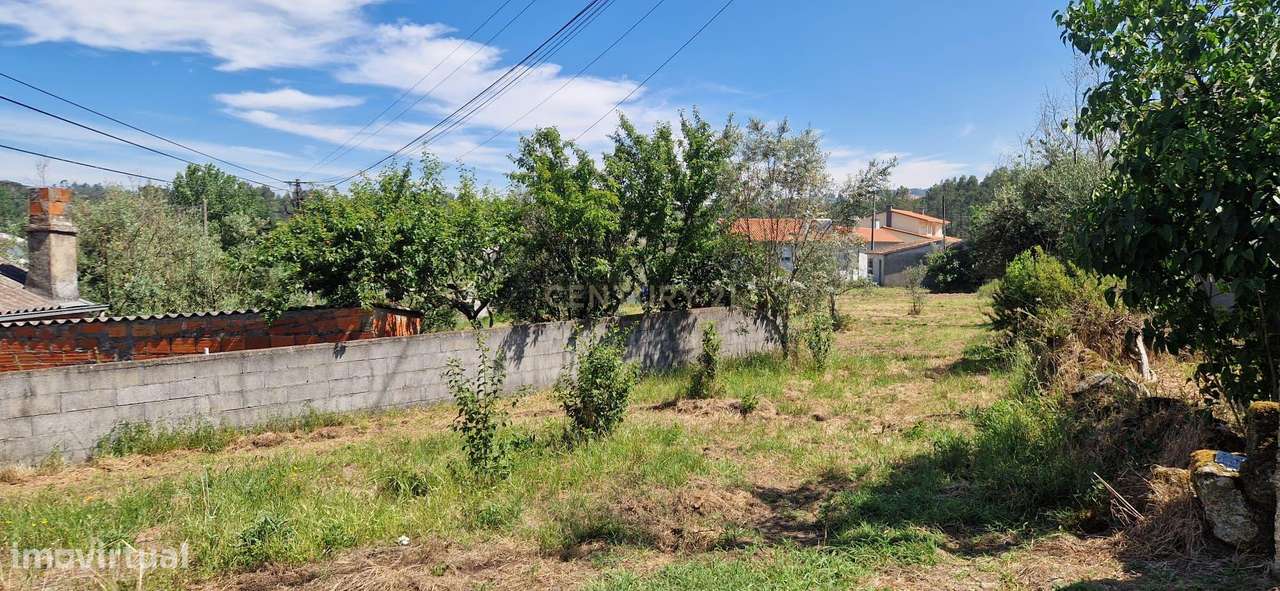 Terreno para construção em Mangualde - Vista 5