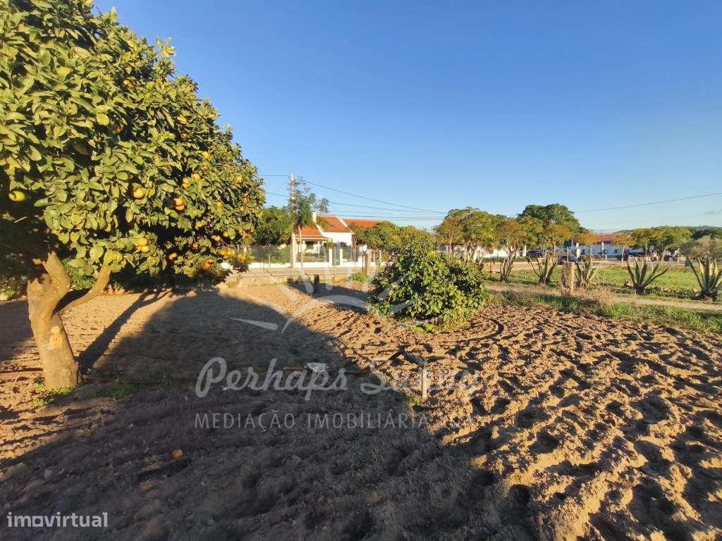 Moradia Melides - Grande imagem: 2/29