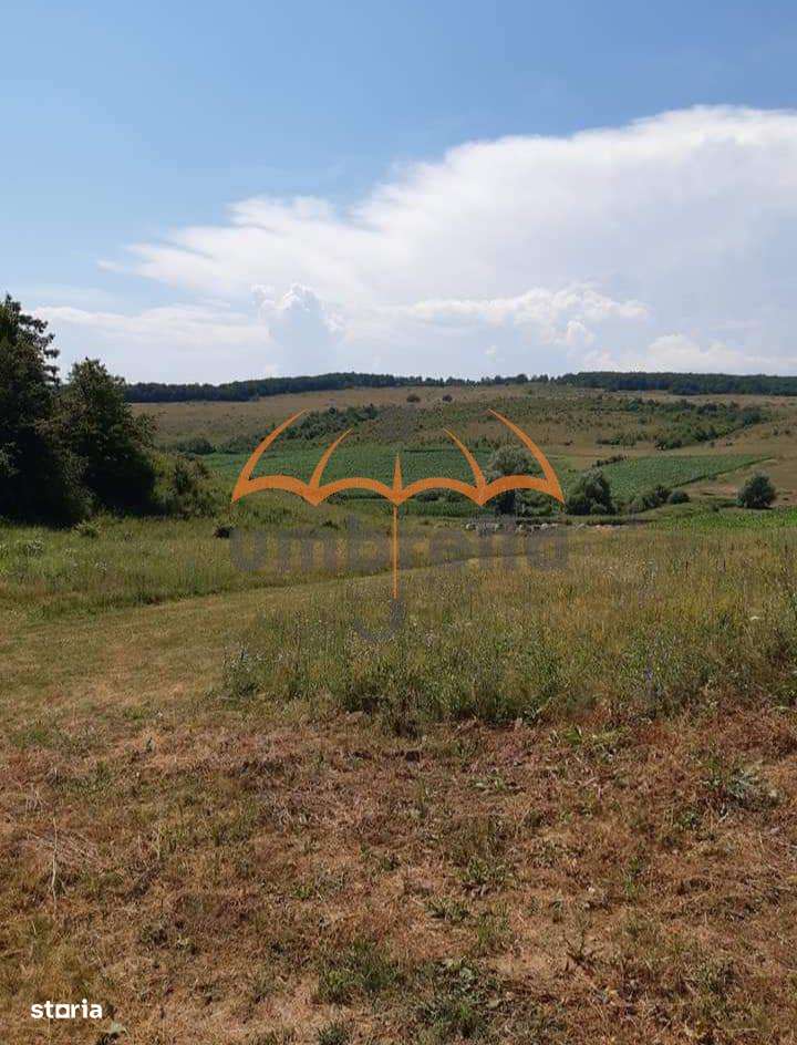 2 Terenuri de vanzare  intravilan Aschileul Mic, unul de 5.292m², unul - Imagine principală: 5/9