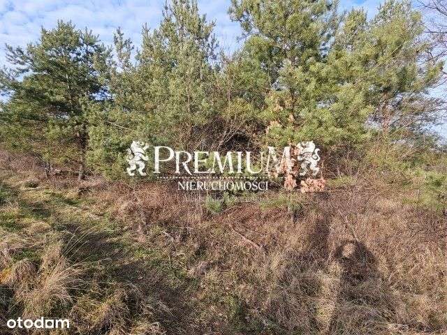 Działka budowlana w Osolinie - Pełny obrazek: 5/5