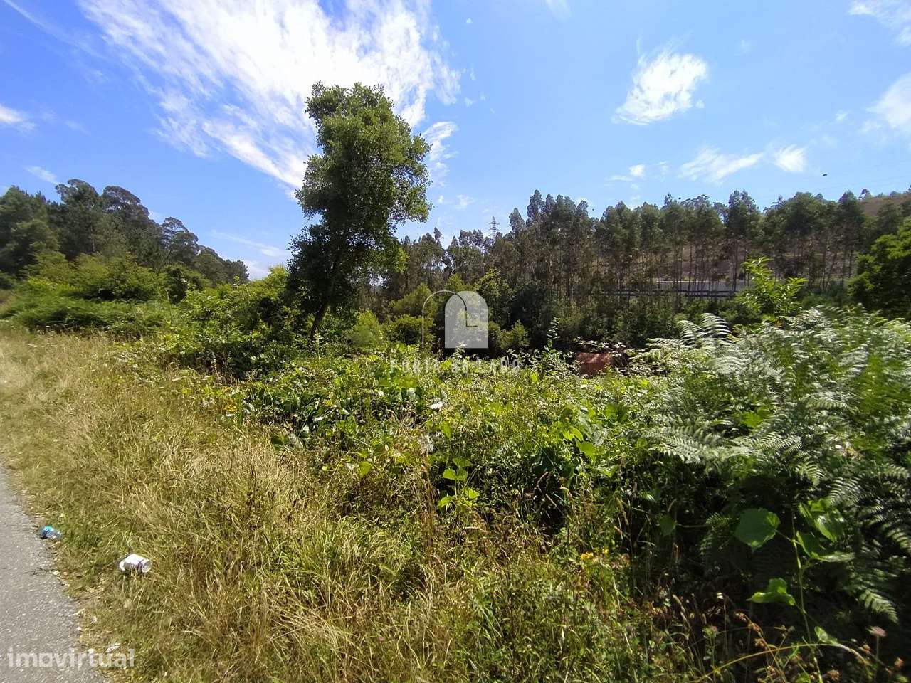 Terreno Rústico 1.958m² em Olival – Vila Nova de Gaia - Grande imagem: 4/10