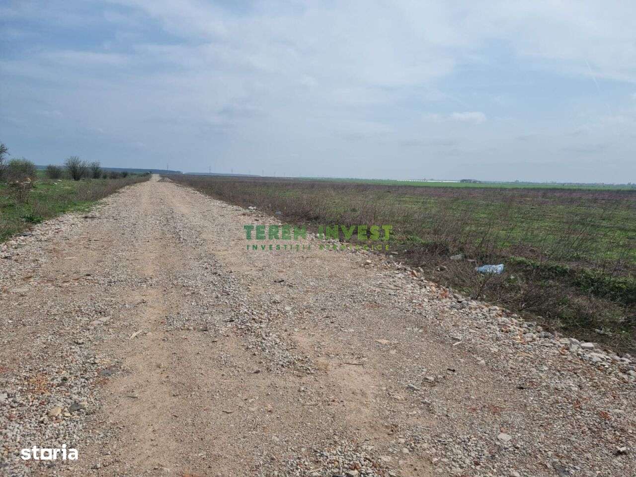 TEREN INDUSTRIAL 20.000 MP - TÂNGANU - A2 PUZ APROBAT-1