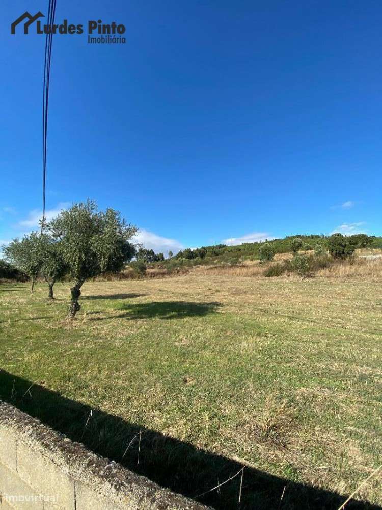 Terreno Agrícola em Palvarinho - Grande imagem: 3/7