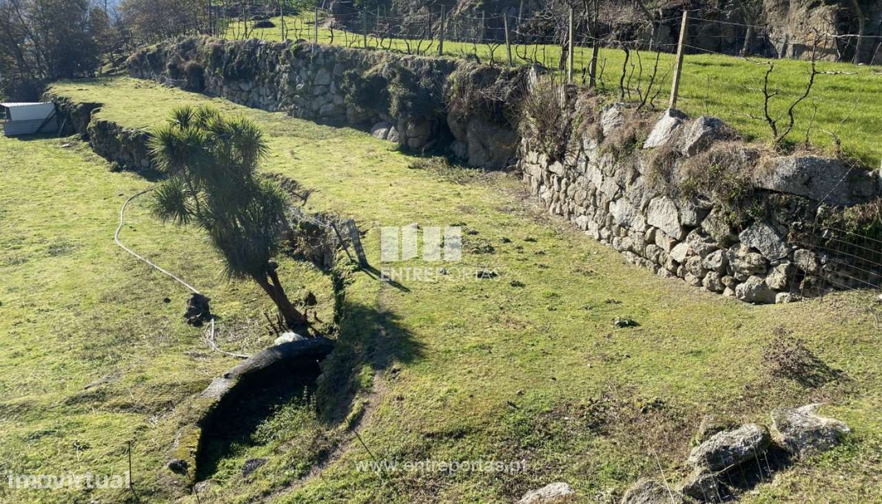 Venda Terreno e Mata com área de 5640 m2, Soalhães, Marco de Canaves - Grande imagem: 4/30