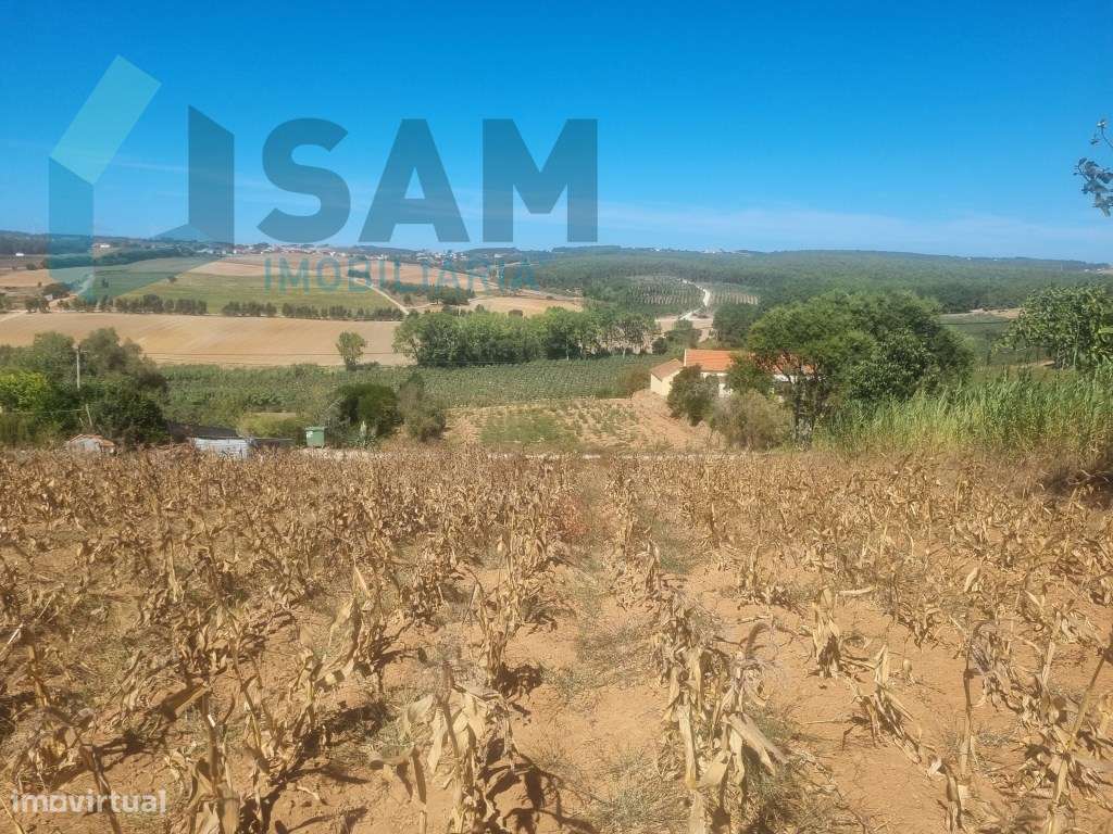 Terreno Urbanizável com 1.880m² em Campelos - Torres Vedras - Grande imagem: 5/11