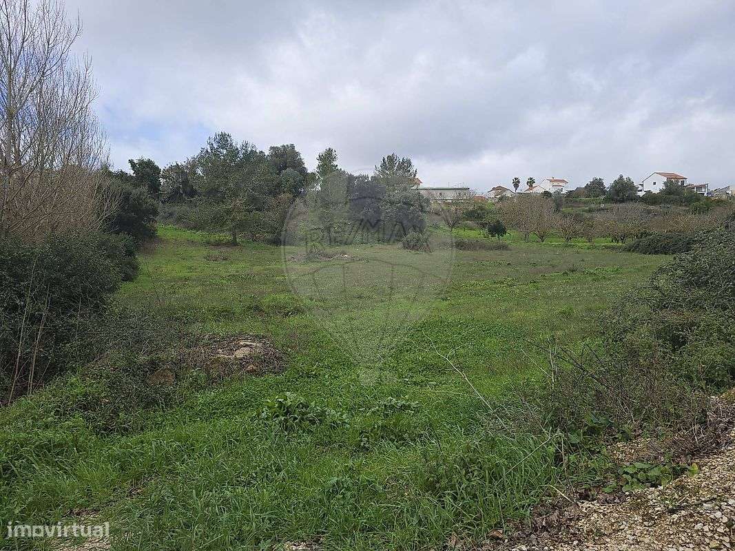 Terreno  para venda - Grande imagem: 5/5