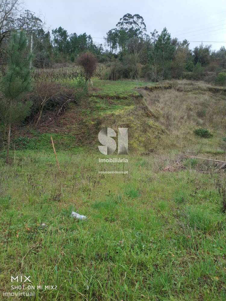 Terreno para construção - Copeira - Grande imagem: 5/18