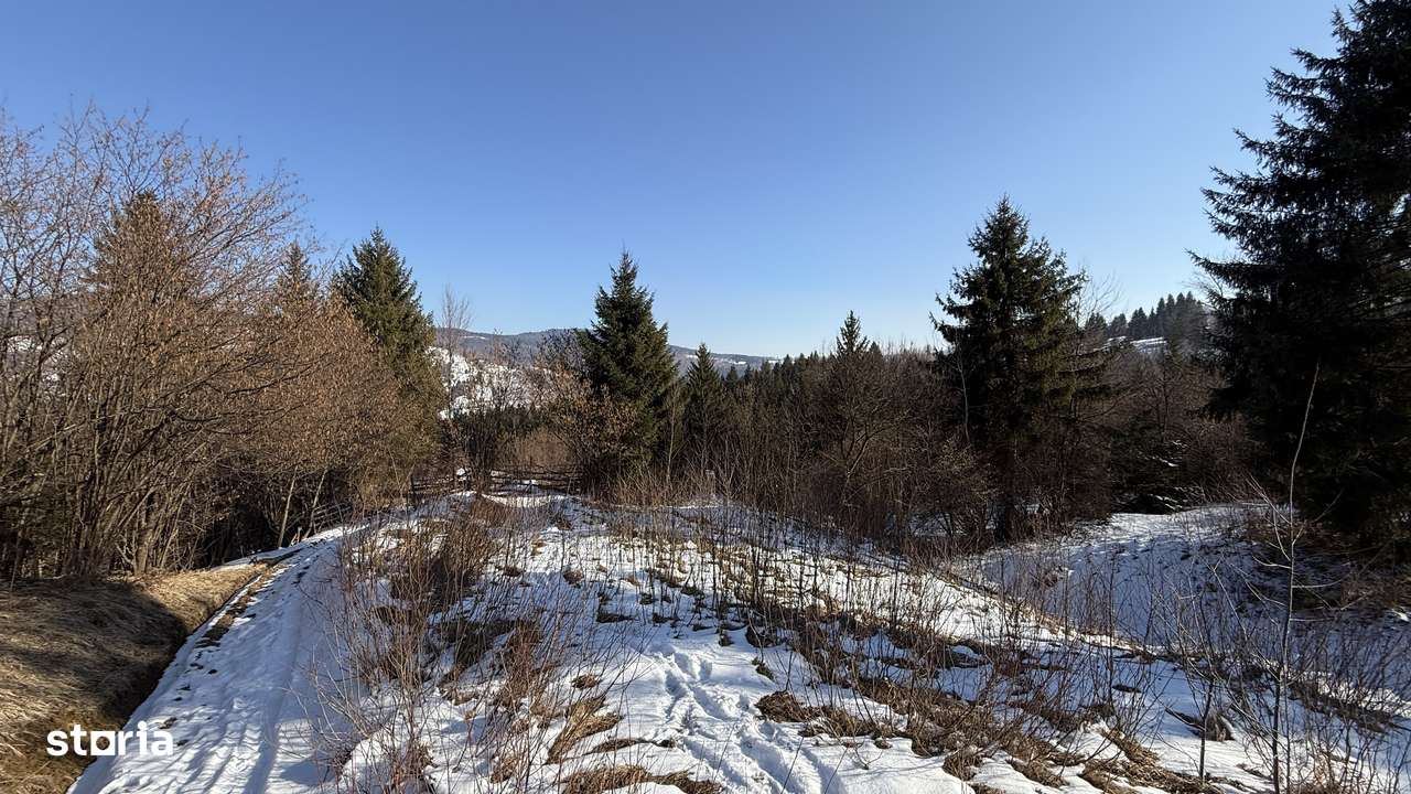 Teren extravilan 2.1 ha Sălătruc, Vama - Imagine principală: 5/11