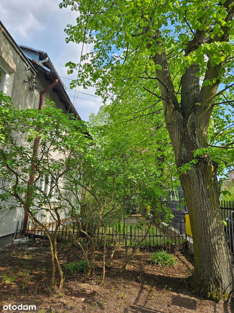 Sprzedam udział  w domu z ogrodem - Pełny obrazek: 5/12