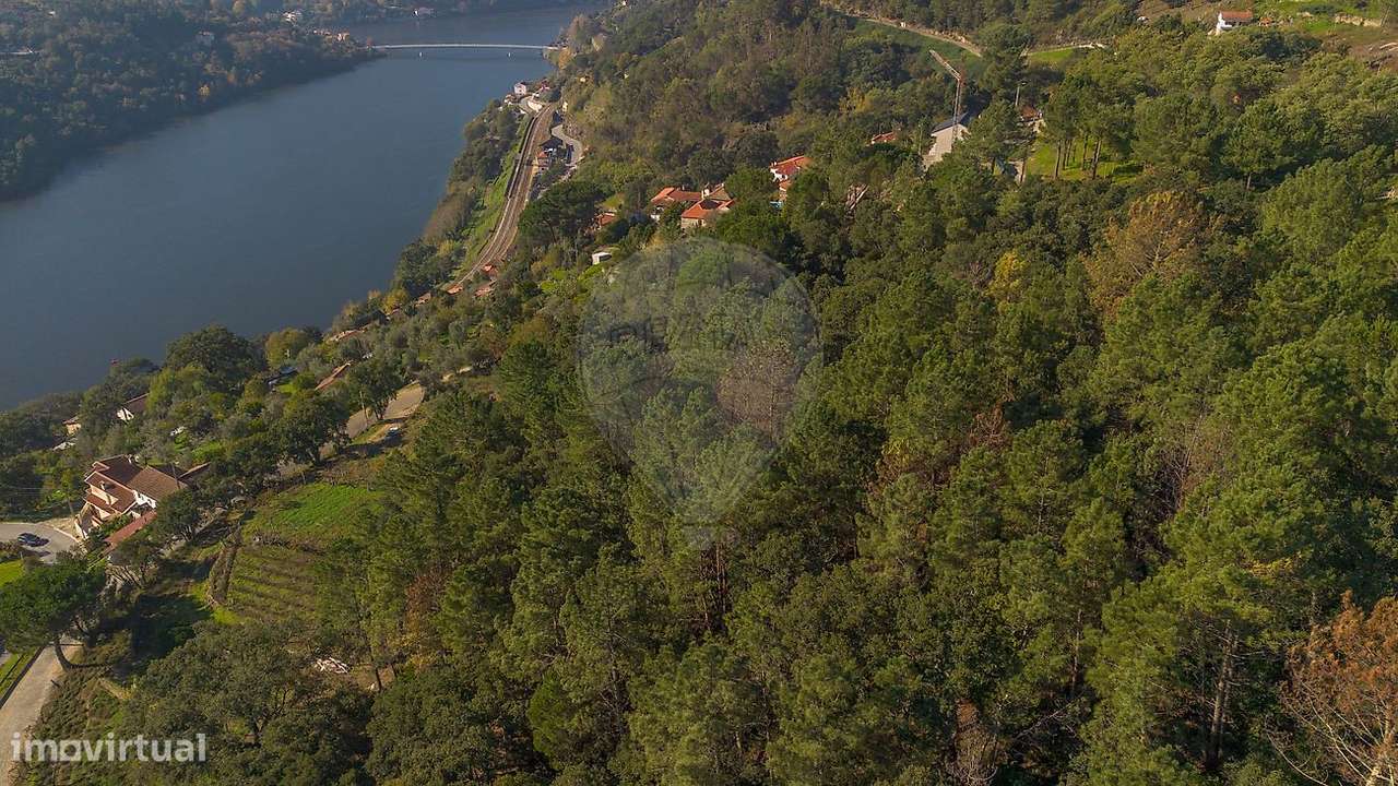 Terreno  para venda-5