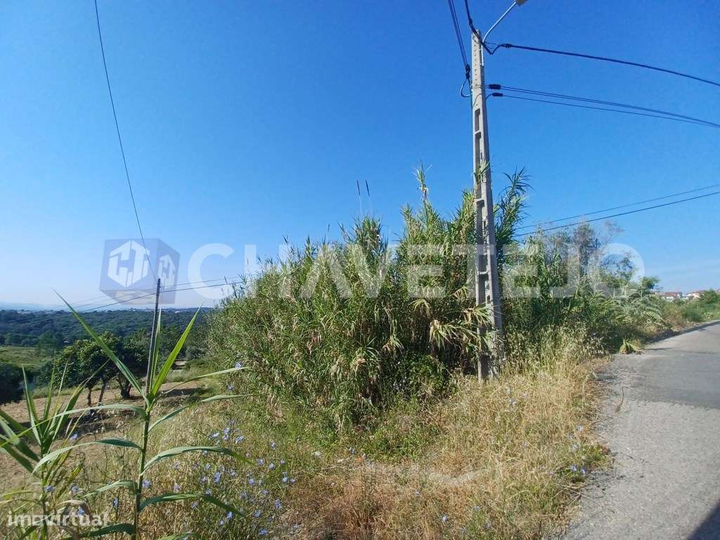 Terreno com 1440 m2 a 4 minutos de Tomar. - Grande imagem: 5/11