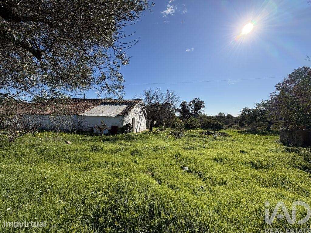 Quinta T3 em Moncarapacho e Fuseta de 140,00 m2 - Grande imagem: 5/21