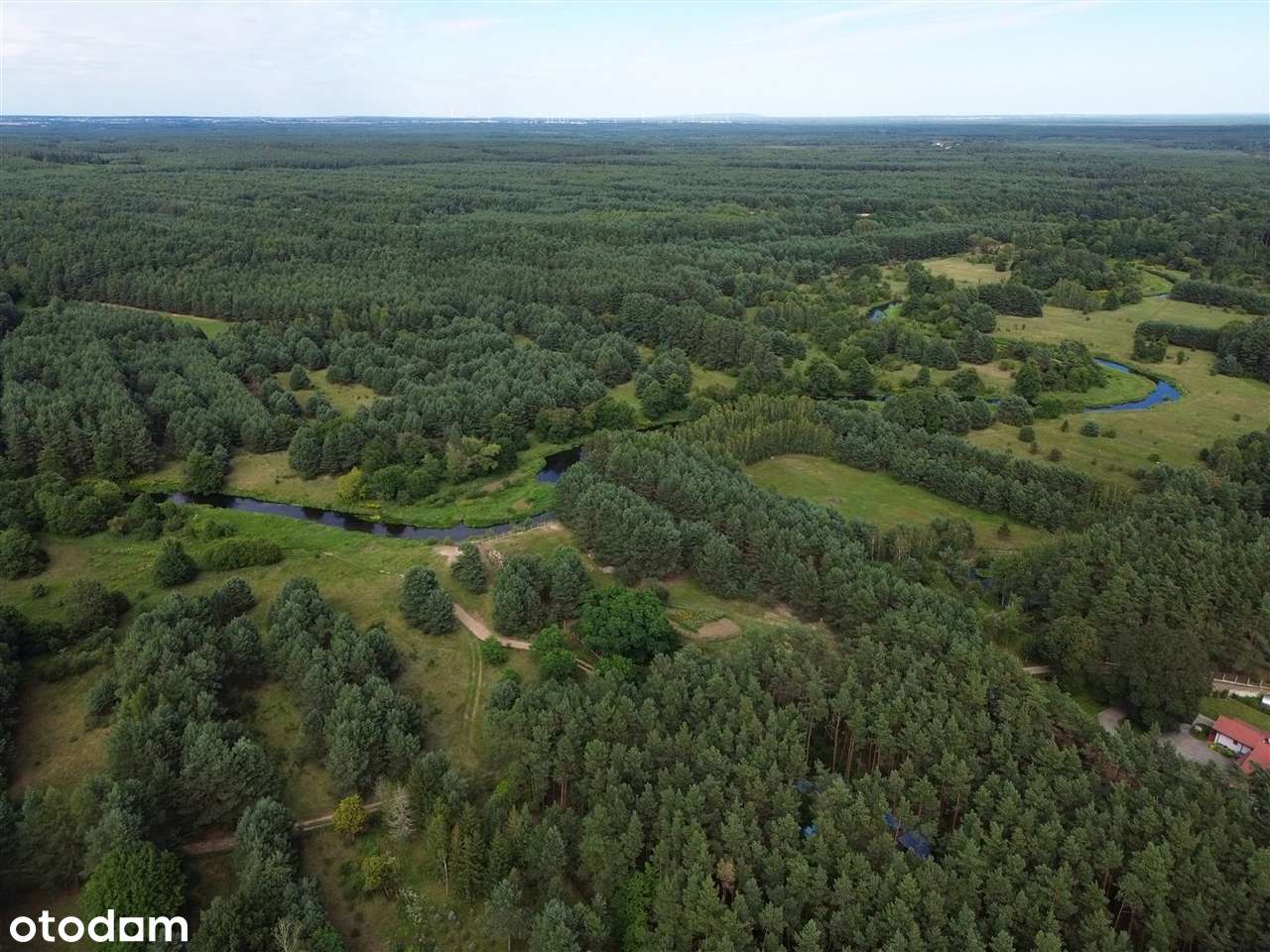 Otoczenie Lasu sosnowego - do zamieszkania-19