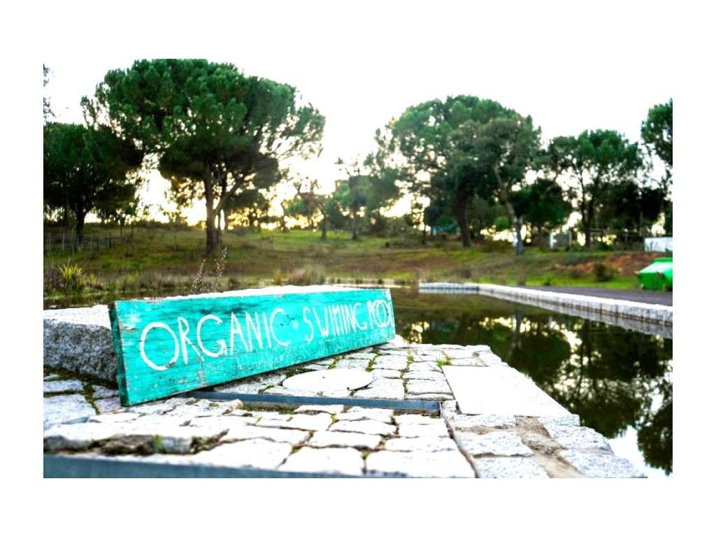 Monte Alentejano com 8,2 Hectares - Um Paraíso de Natureza e Sereni...-47