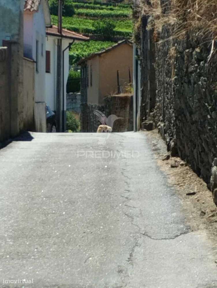 Moradia com Terreno - Grande imagem: 4/24