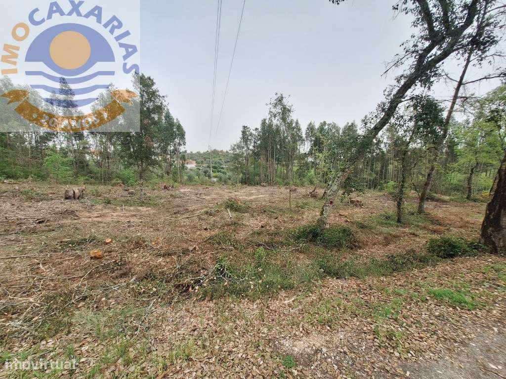 Terreno, viabilidade de construção - Grande imagem: 4/15