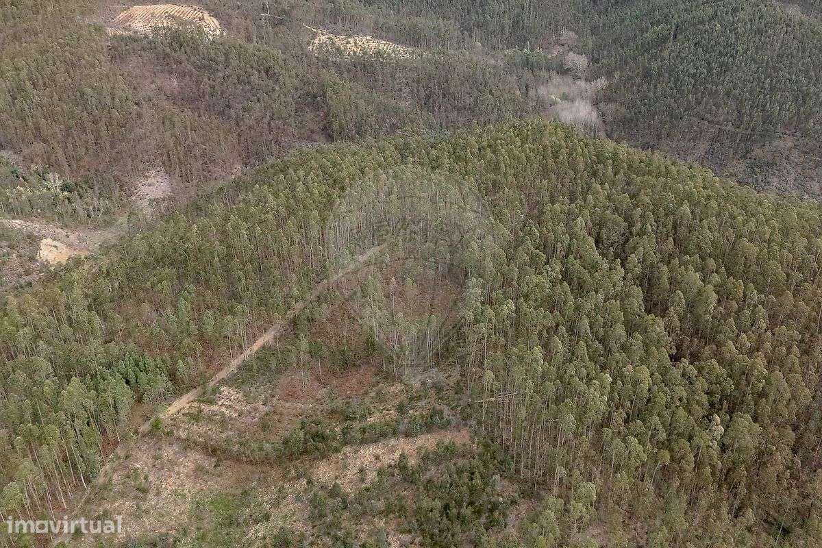 Terreno  para venda - Grande imagem: 2/9